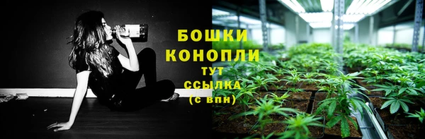спайс Покачи