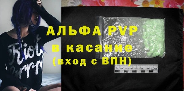 спайс Покачи