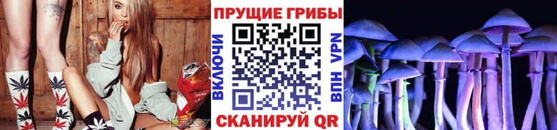 Галлюциногенные грибы прущие грибы  Гусиноозёрск 